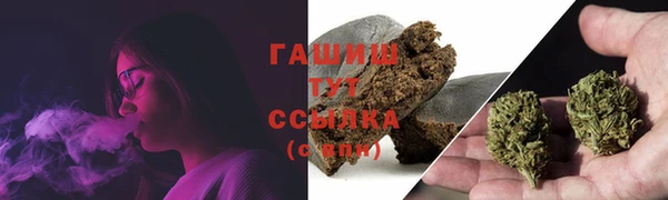 ГАЛЛЮЦИНОГЕННЫЕ ГРИБЫ Абаза