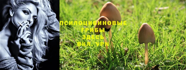 гашиш Переславль-Залесский