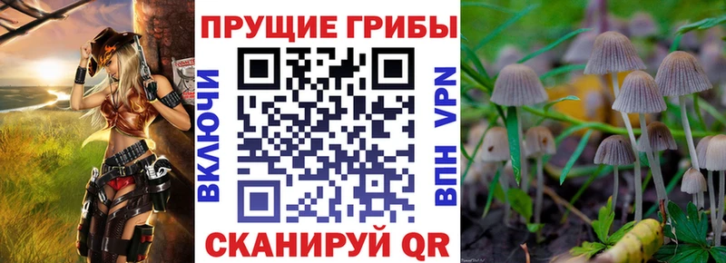 Галлюциногенные грибы GOLDEN TEACHER  Гагарин 